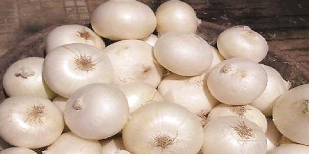 कच्चा प्याज खाने के फायदे