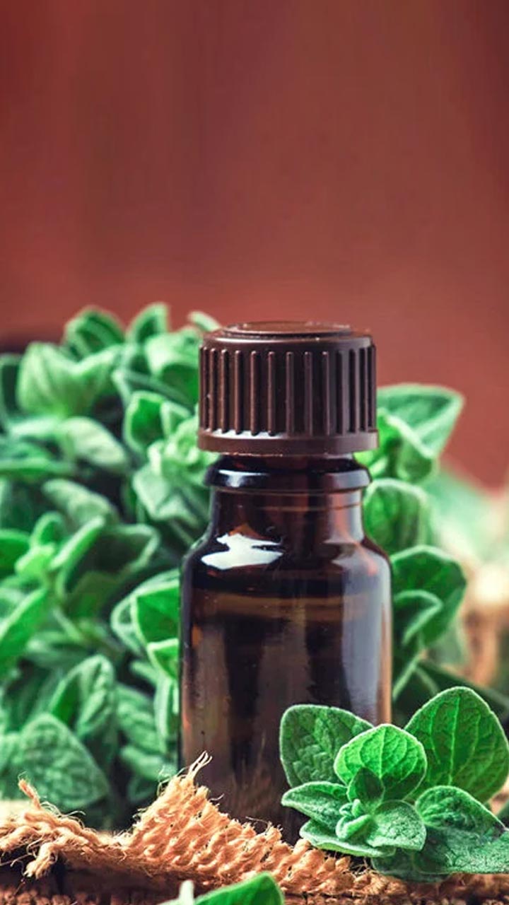 5 Health Benefits Of Oregano Oil