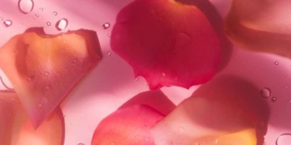 From Face Mask to Body Scrub DIY Rose Petal Recipes for Natural Beauty and Relaxation