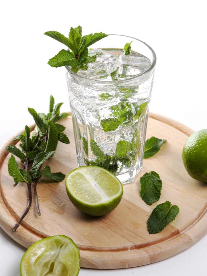 पुदीना नींबू पानी पीने के फायदे lemon water mint water healthy